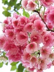 16F701E4-94CB-4C80-9646-DBB6F671EF23/L0/001