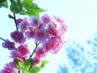 67F22A79-6AE7-4516-9104-A63A48507498/L0/001