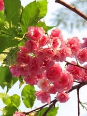 6262FB0D-56FF-4664-80CB-53CF1D7FA527/L0/001