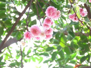 C1FD3C30-5486-416F-85E8-F5FB214C850D/L0/001