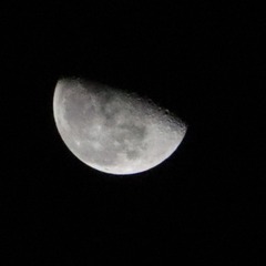IMG_6913
