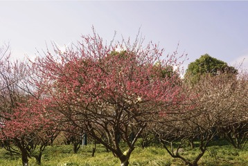 DD9DA805-D2AD-413E-BE58-6B46CCCF0768/L0/001