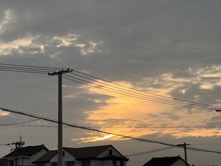 97F23D2A-82B3-48BB-BF76-8DD3E953546F/L0/001