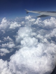 0F81668F-F86E-4CA0-8398-DB609E8E7EC1/L0/001