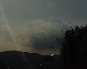 A0CD66FD-81B1-4365-94D7-00346383BF00/L0/001
