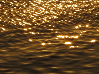 B29BC1D6-AE9F-4ED3-BEEA-EA4F70124686/L0/001