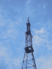 1000109351
