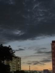 2427792