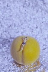 957649