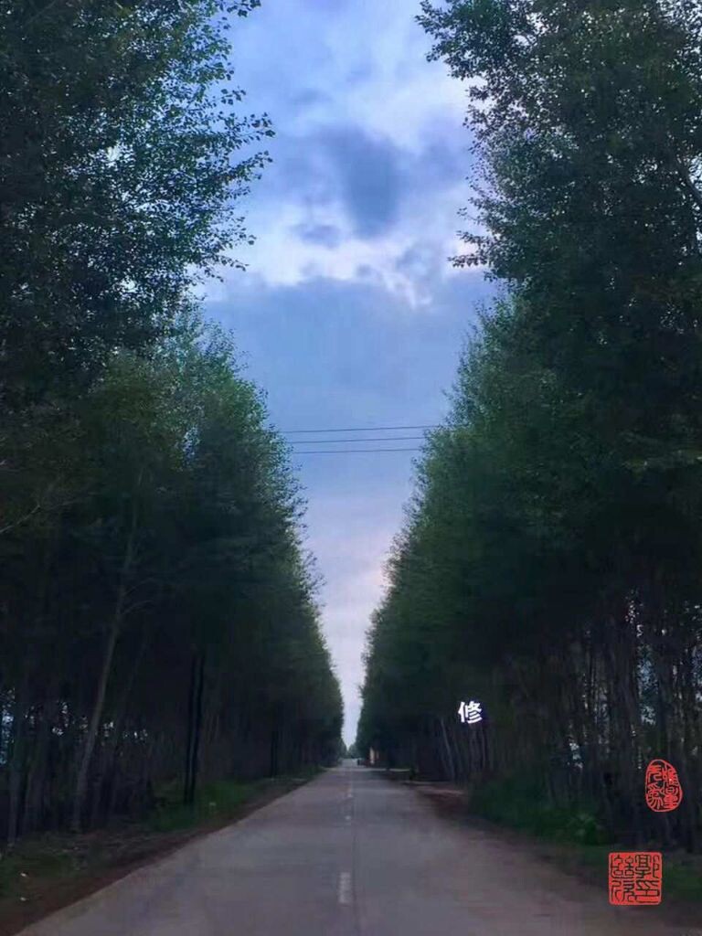 路漫漫其修远兮，吾将上下而求索