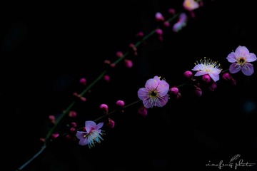 001