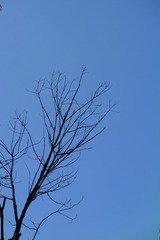 8EC220B8-721C-4BA0-9B7C-5F19741F6680/L0/001