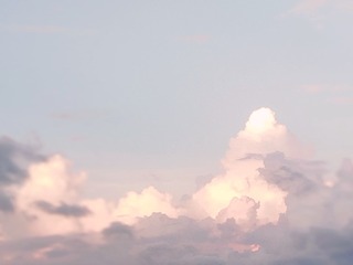 190619