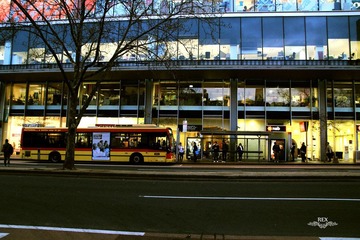 IMG_9777.jpg