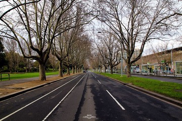 IMG_9732.jpg