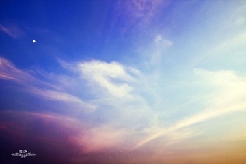 IMG_2464.jpg