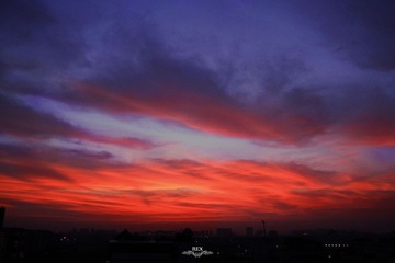 IMG_2453.jpg