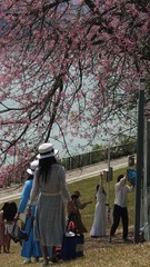 2E9C6A0E-4595-46DD-86EB-96A23D7B0387/L0/001