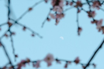 5287D074-F232-4564-A675-1FB5C8F8EA0D/L0/001