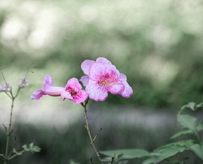 2359A5A5-D2B0-4139-81D9-83BA48A9F4F5/L0/001