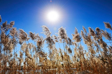 _DSC0140.jpg