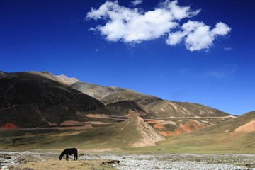 _DSC7459.jpg