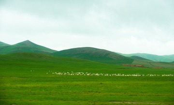 20120814643.JPG