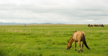 20120814674.JPG