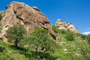 20120814922.JPG