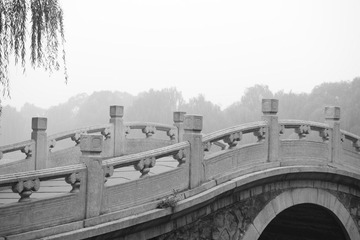 201210261127.JPG