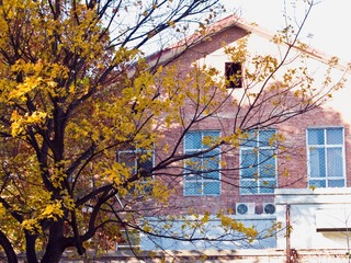 201302171734.JPG