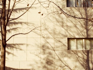 201302171740.JPG