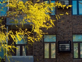 201302171744.JPG