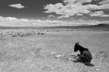 201306052117.JPG