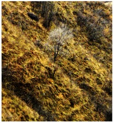 48ABB26A-0669-4806-BB44-55655B6CEC7F/L0/001
