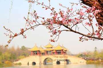 IMG_1683_副本.jpg