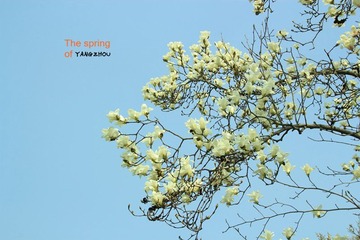 IMG_1533_副本.jpg