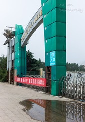 03青岛记忆散片2012夏天-1085656