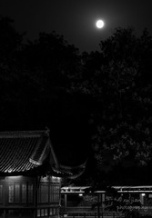 中秋节拍月-1005937-2