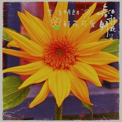 D4F4E001-D110-4C5D-A73C-6E4734D47314/L0/001