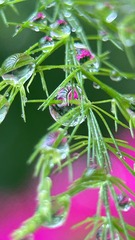 C4B65A66-1F1F-4E2F-BA0E-D3FD8B5694E1/L0/001
