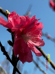 001