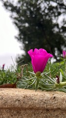 0A6C3F7D-3B3F-4CCB-85DA-B1E1DC831C3A/L0/001