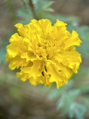 3BFDAF2E-D4AB-4986-A4CD-82F77803059B/L0/001