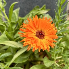 33E4852A-E0B1-4D24-9761-342BD81E016F/L0/001