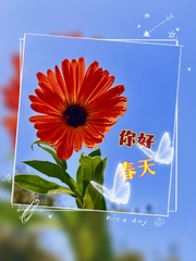 ECE266A4-F232-4DDC-82A9-CF880AC8EB5A/L0/001