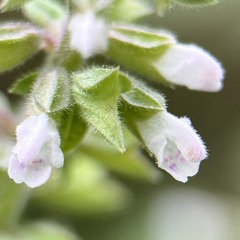 31DF8CA4-2FAE-49B5-BBE5-868A84361197/L0/001