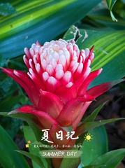 29CE7166-1FA6-46AA-B18C-2EBBA39A2088/L0/001
