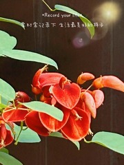 3C4AABEE-8103-4FBC-BDD7-A1CEFBCAD75B/L0/001