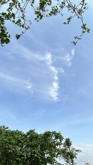 B9BEBC94-22D7-47EF-A260-EE35650EC240/L0/001